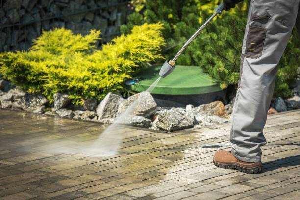 Best Sidewalk and Walkway Cleaning  in Chico, WA